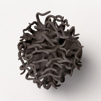 Anemone #1