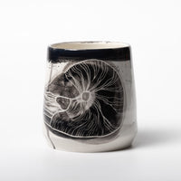 Sea creature - Shell-
