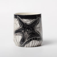 Sea creature - Starfish -