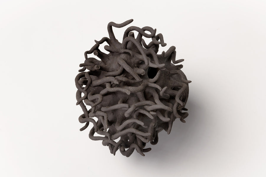 Anemone #1