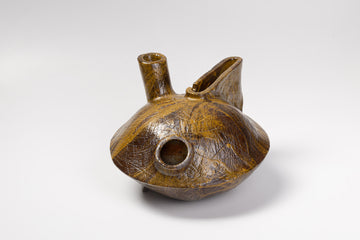 Heart tube Vessel